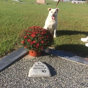pet memorial concrete stone